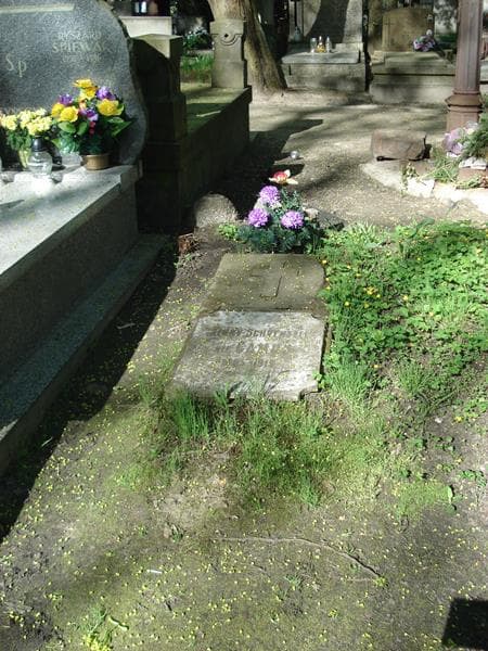 Zdjęcie grobu: Jenny Schventzel