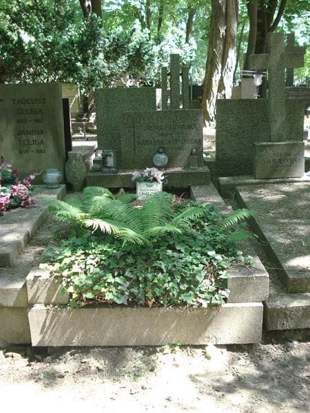 Zdjęcie grobu: Maria Danuta Czaplińska