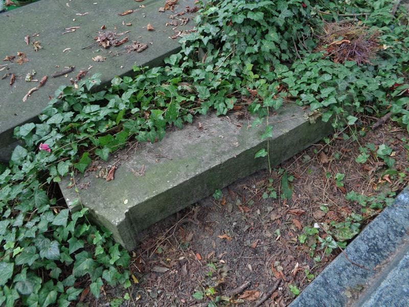 Zdjęcie grobu Anonim (1)