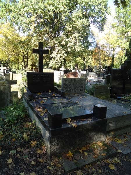 Zdjęcie grobu Antoni Wyżnikiewicz (1)