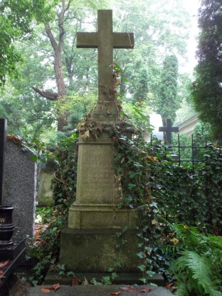 Zdjęcie grobu Leon Kułakowski (2)