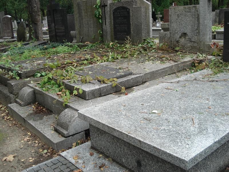Zdjęcie grobu Władysława Martynowicz (2)
