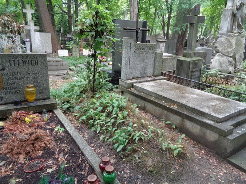 Zdjęcie grobu Anonim (1)