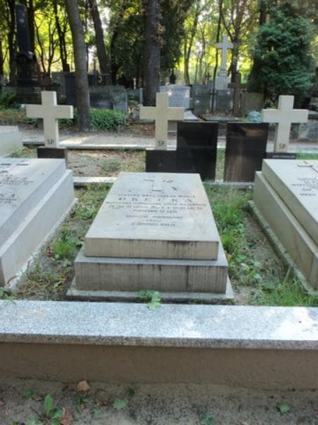 Zdjęcie grobu: Róża Idalja Marja Okęcka