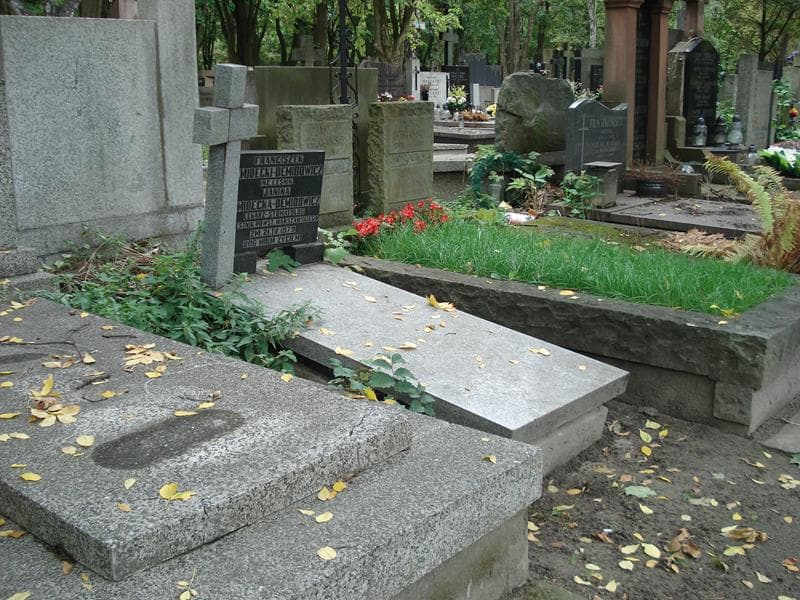 Zdjęcie grobu: Janina Demidecka-Demidowicz