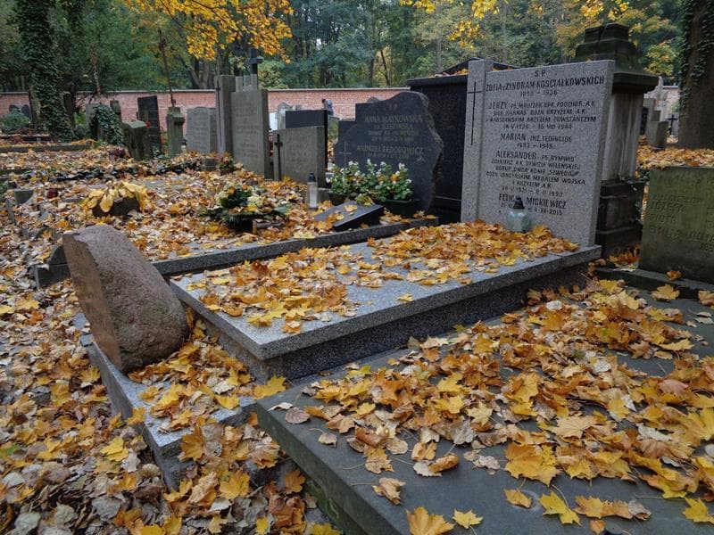 Zdjęcie grobu: Jerzy Rymwid-Mickiewicz
