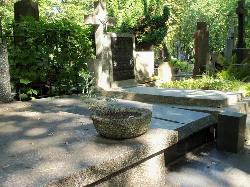 Zdjęcie grobu Zygmunt Litwiński (1)