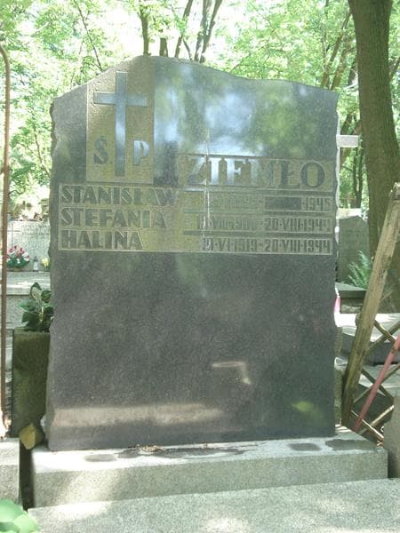 Zdjęcie grobu Emil Patryn (2)