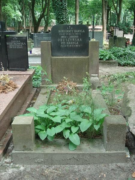 Zdjęcie grobu: Konstanty Hanyga