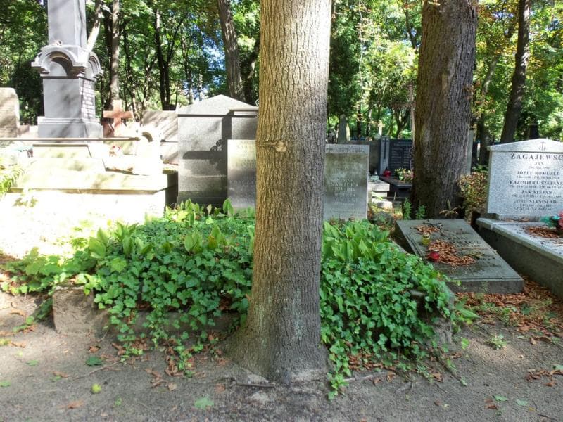 Zdjęcie grobu: Waleria Słubicka