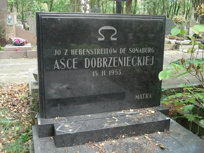 Zdjęcie grobu Aśka Dobrzeniecka (2)