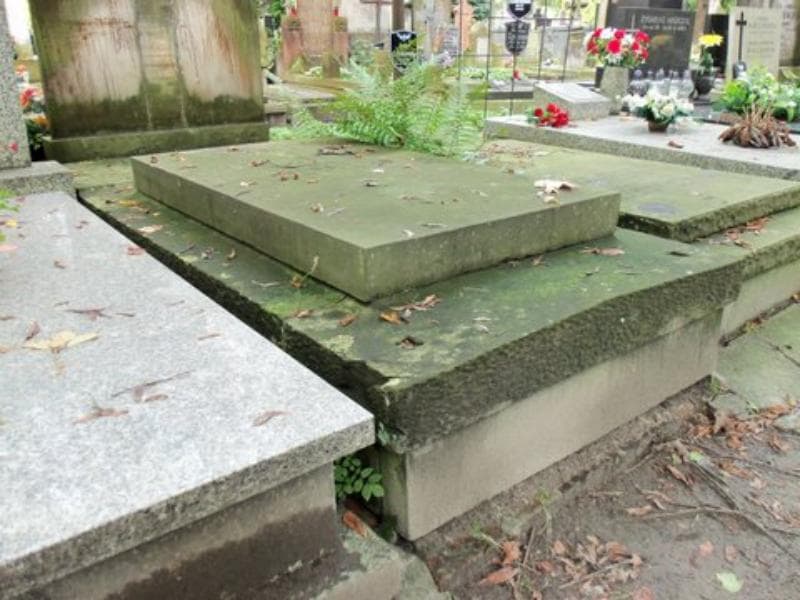 Zdjęcie grobu Ludwika Żmudzińska (2)