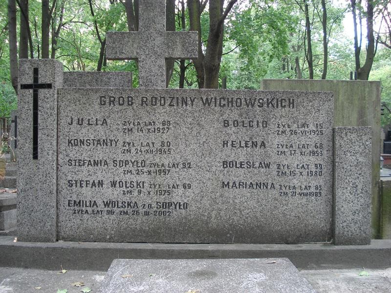 Zdjęcie grobu Emilia Wolska (2)