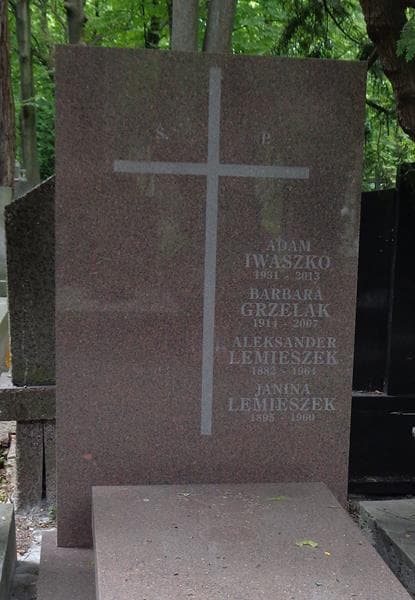 Zdjęcie grobu Aleksander Lemieszek (2)