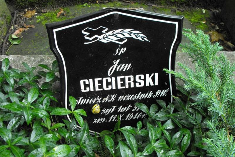 Zdjęcie grobu Anonim (jan Ciecierski) (2)