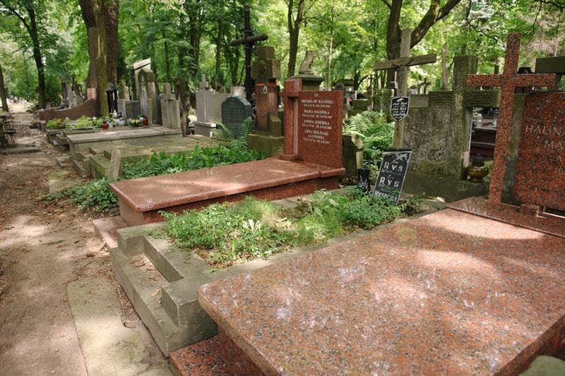 Zdjęcie grobu: Bronisława Wysocka