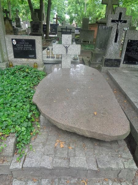 Zdjęcie grobu Bolesław Januszaniec (1)