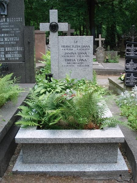 Zdjęcie grobu Franciszek Liana (1)