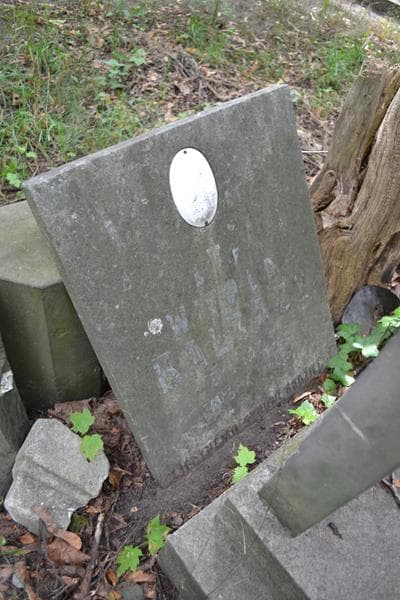 Zdjęcie grobu Anonim / Witold Balbach (2)