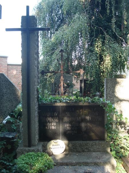 Zdjęcie grobu Ludwik Dramiński (2)