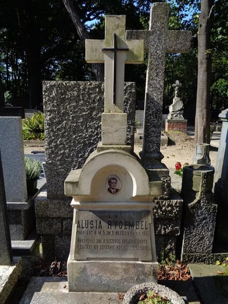 Zdjęcie grobu Władysław Rycembel (2)