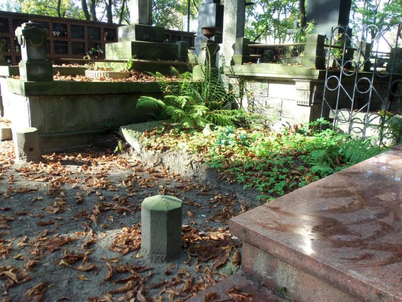 Zdjęcie grobu Teodozja Krajewska (1)