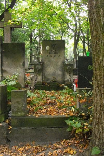 Zdjęcie grobu: Czesio Makulski