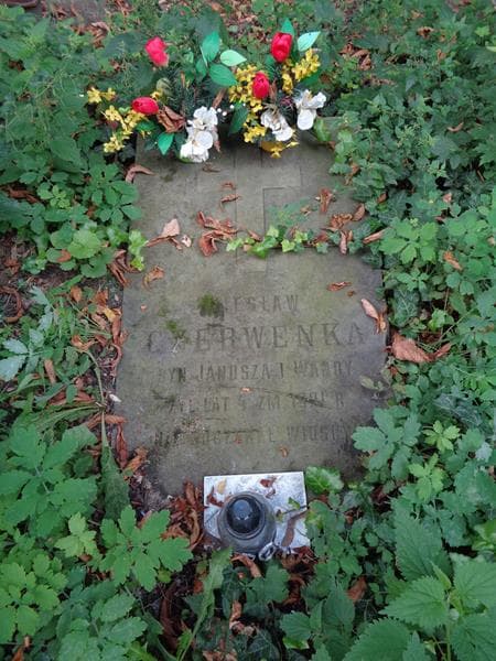 Zdjęcie grobu Wiesław Czerwenka (1)