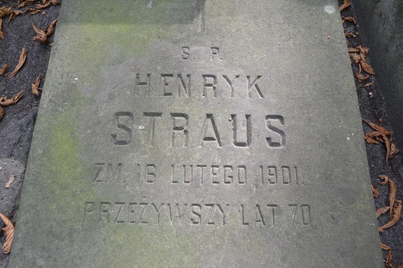 Zdjęcie grobu Henryk Straus (2)