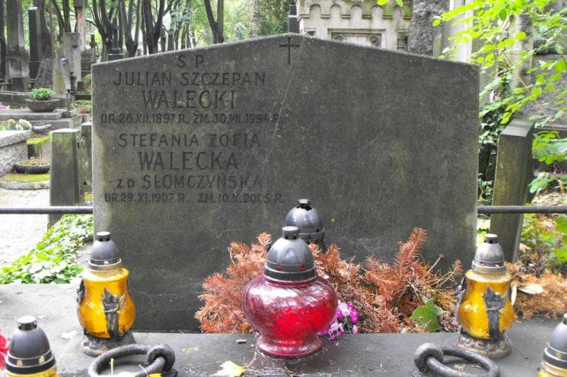 Zdjęcie grobu Stefania Zofia Walecka (2)