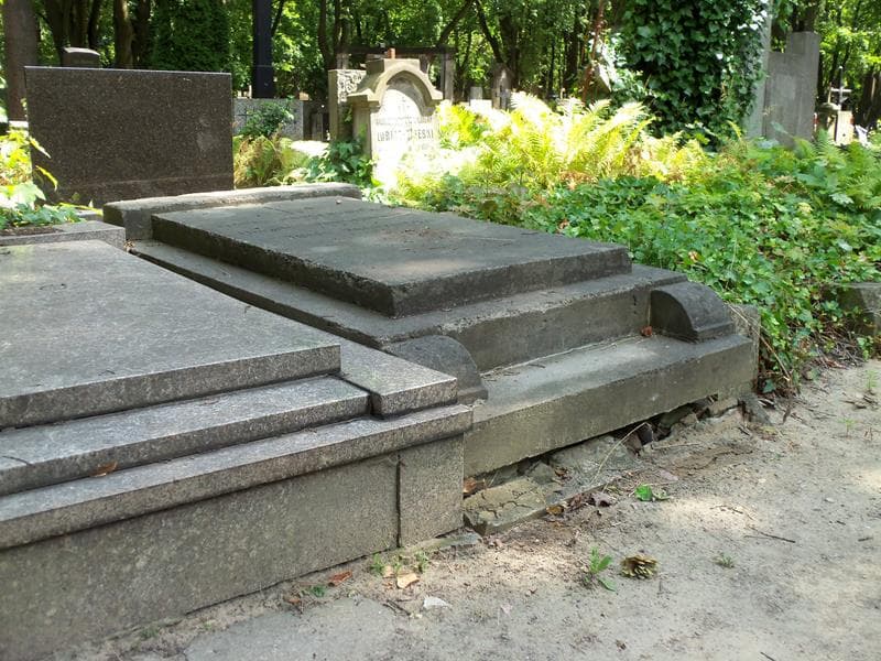 Zdjęcie grobu Ludwik Podsedkowski (1)