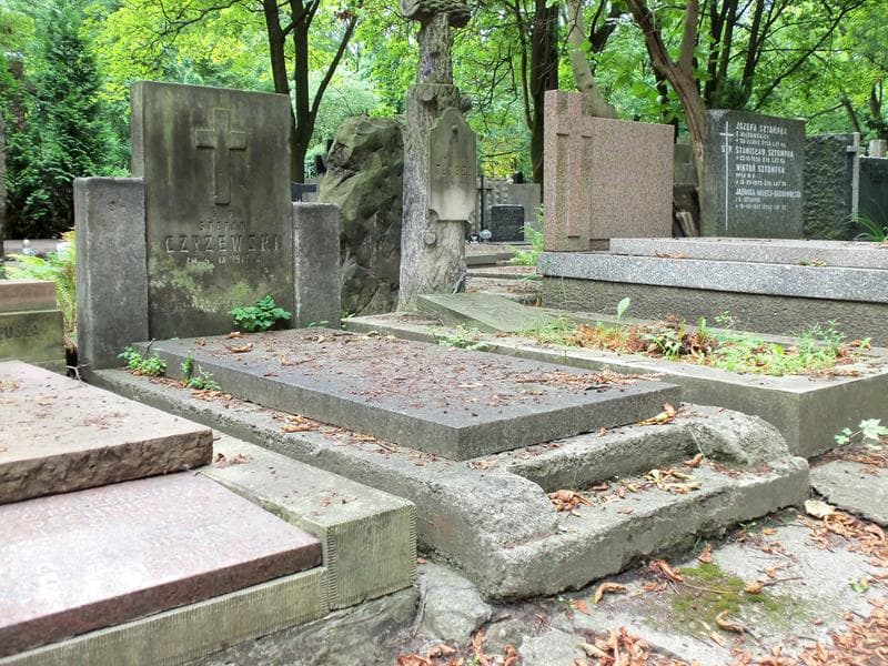 Zdjęcie grobu Mieczysław Czyżewski (1)