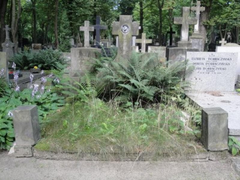 Zdjęcie grobu: Czesia Olszańska