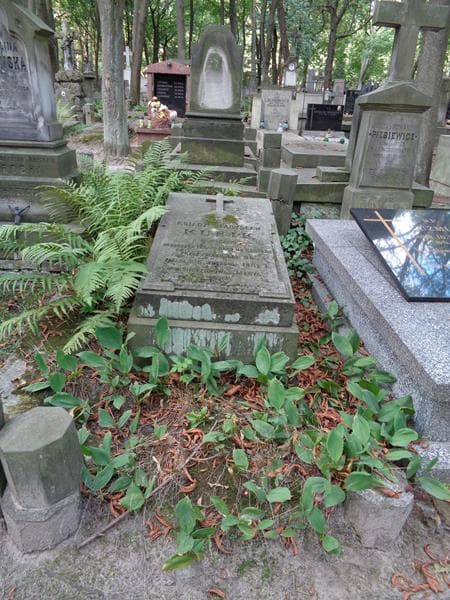 Zdjęcie grobu Władysław Kubik (1)