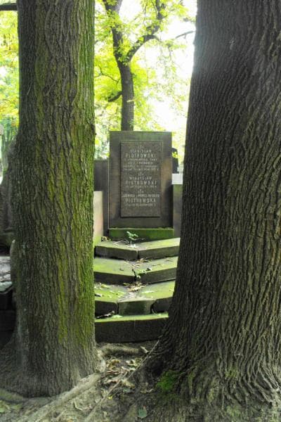 Zdjęcie grobu: Jadwiga Piotrowska
