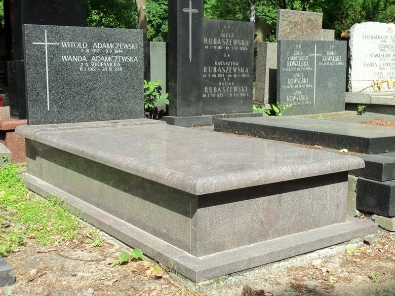 Zdjęcie grobu Witold Adamczewski (1)