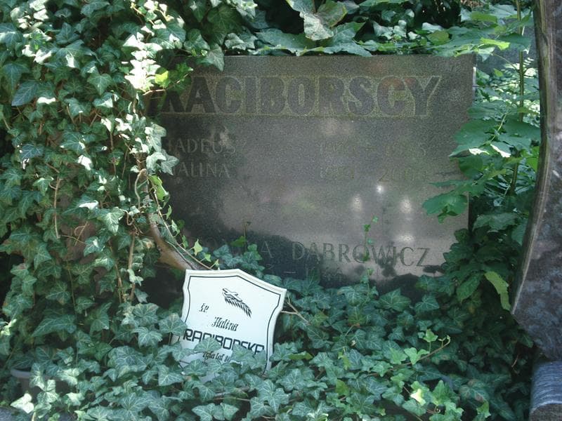 Zdjęcie grobu Antonina Dąbrowicz (1)