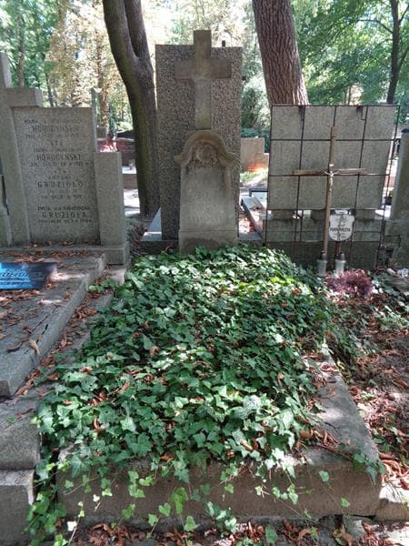 Zdjęcie grobu Stanisława Olewińska (1)