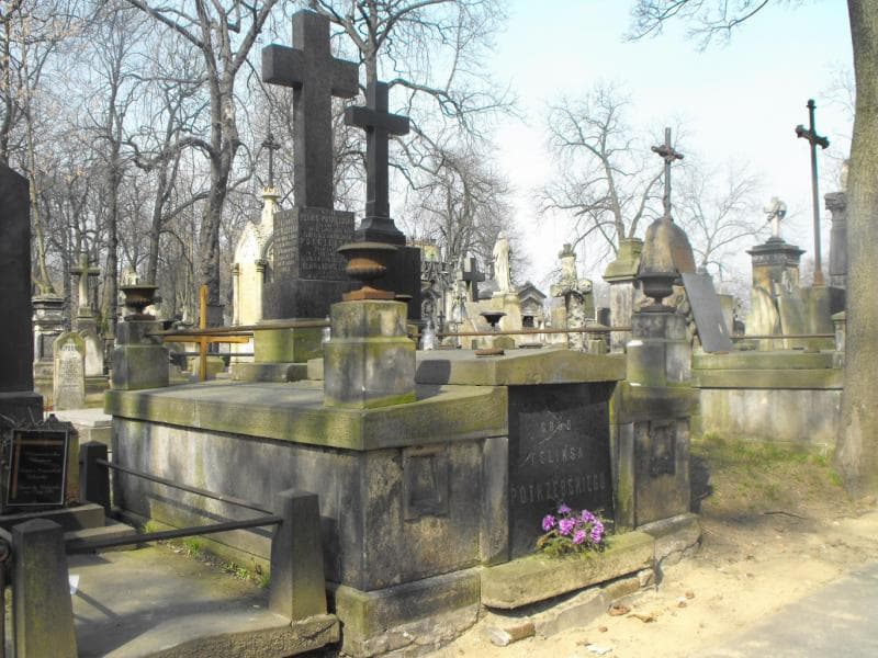 Zdjęcie grobu: Ludwika Hermanowiczowa