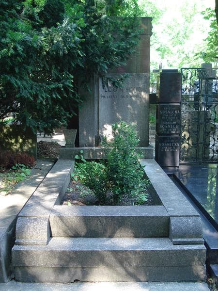 Zdjęcie grobu: Leon Hyk