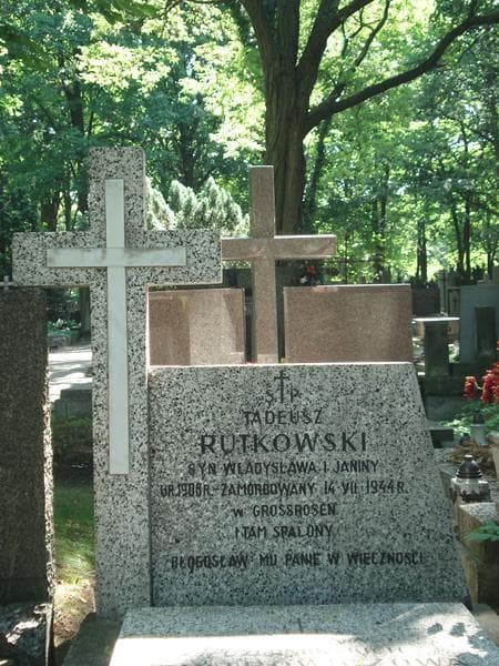 Zdjęcie grobu Romana Piotrowiczowa (1)