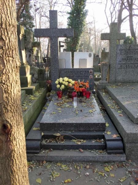 Zdjęcie grobu: Henryk Ciecierzyński
