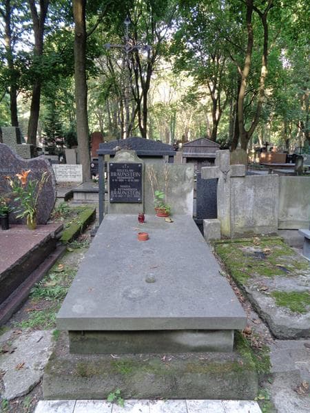 Zdjęcie grobu Bolesław Braunstein (1)