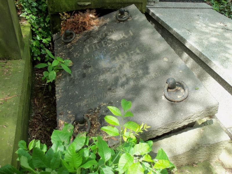 Zdjęcie grobu Leonard Górecki (2)