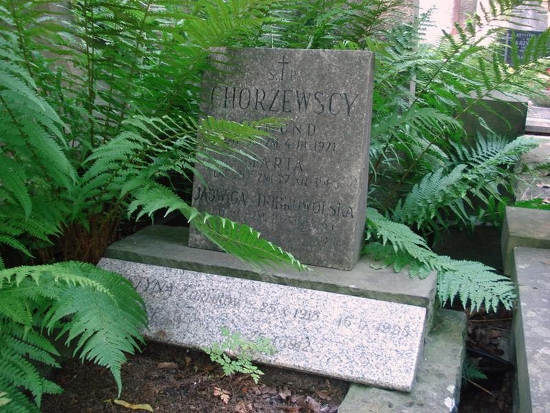 Zdjęcie grobu Krystyna Chorzewska (2)