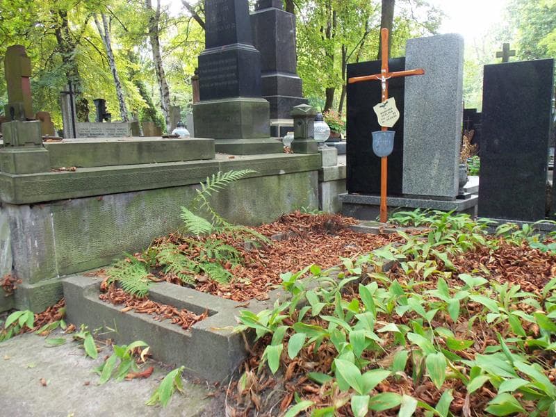 Zdjęcie grobu Stanisław Okólski (1)