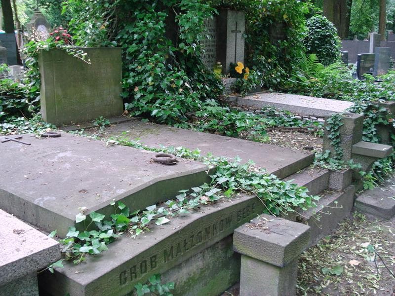 Zdjęcie grobu: Antonina Brzuszkiewicz