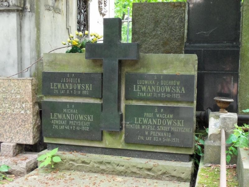 Zdjęcie grobu Michał Lewandowski (2)