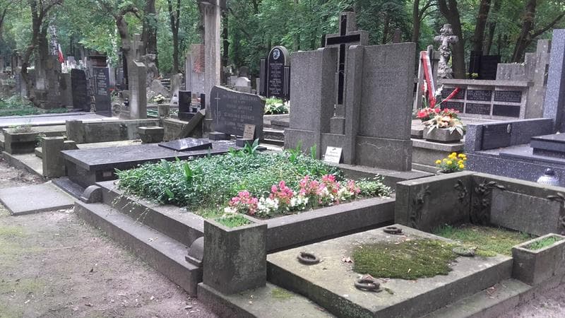 Zdjęcie grobu: Alfreda Bogdanowicz
