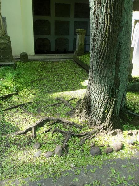 Zdjęcie grobu: Pole Grobowe